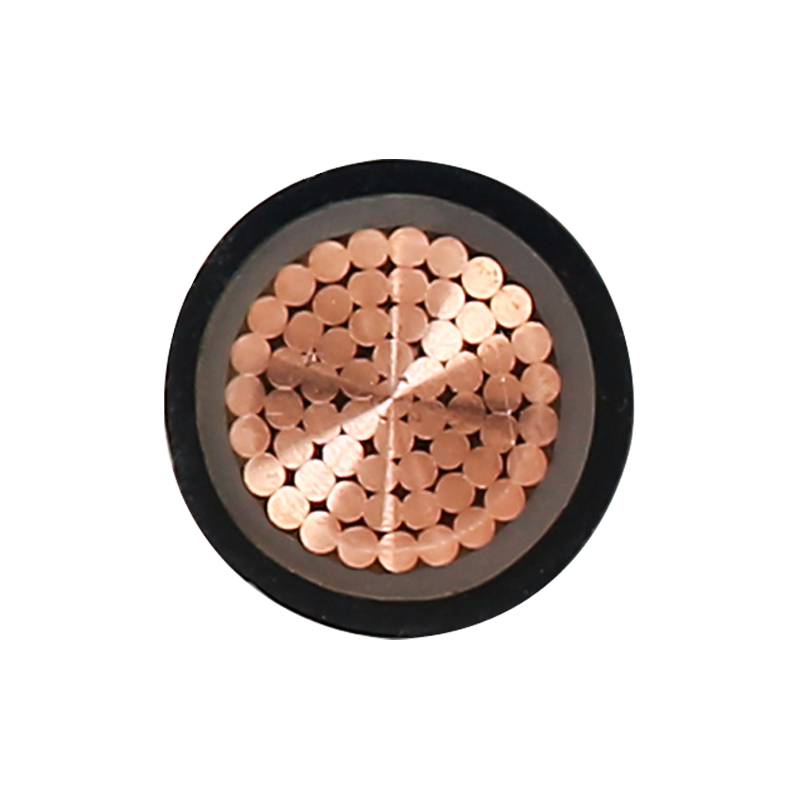 EV Charging Cable For Rated Voltage 450/750V Suppliers, Company - Jiangsu Dongfeng Cable Co., Ltd.